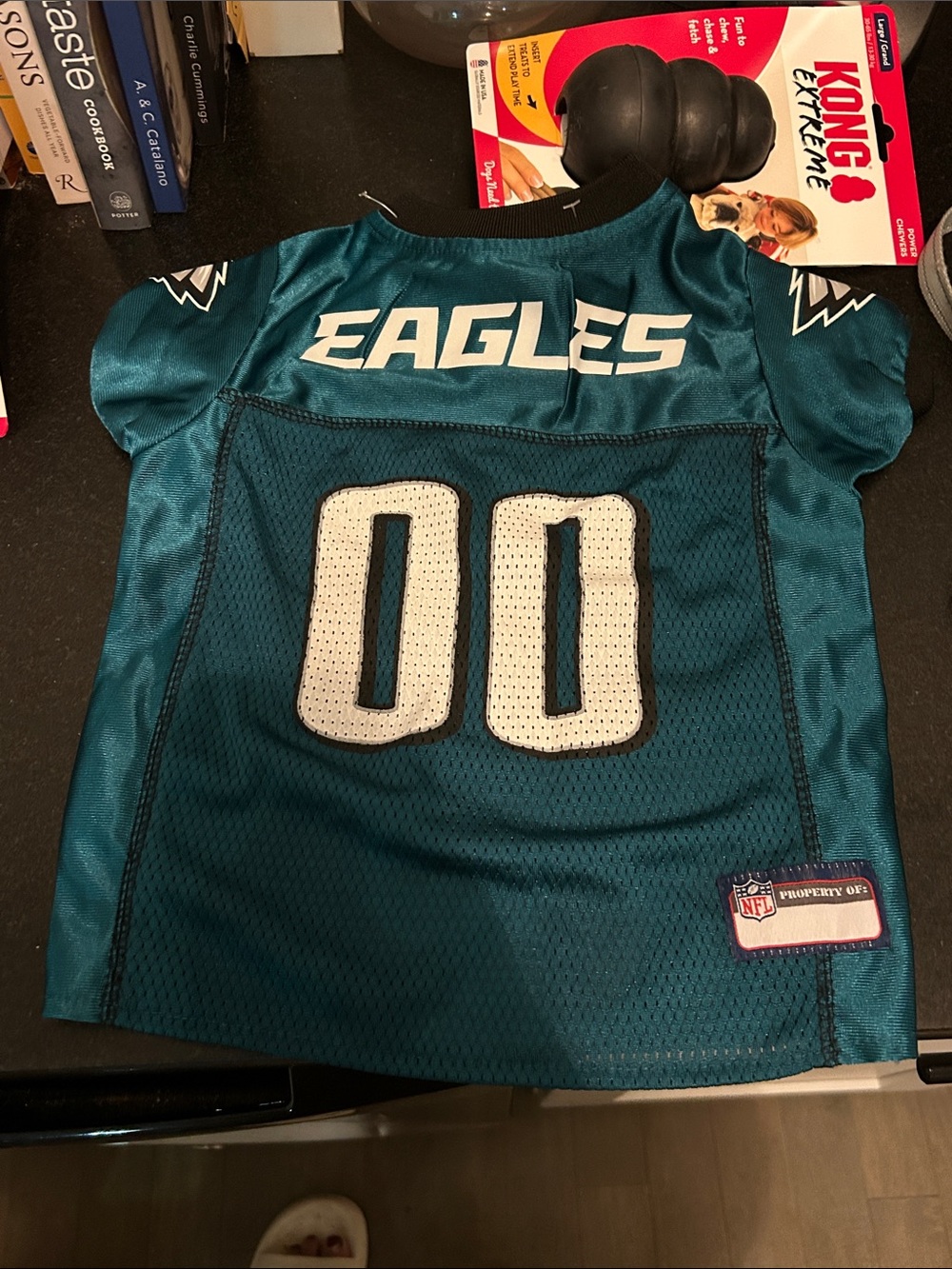 NFL Philadelphia Eagles Small Pet Jersey Teal with White #00